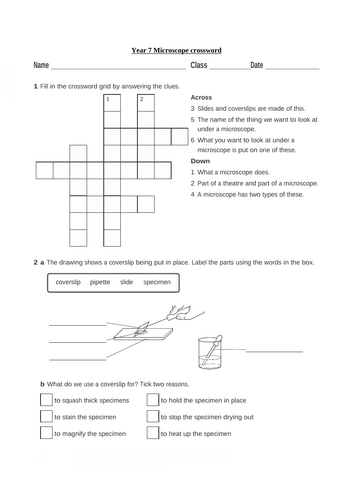 KS3 Science Microscopes pack of worksheets