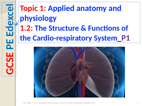 GCSE PE (Spec 2016 Edexcel) Topic 1: 1.2: Structure & Functions of the Cardio-respiratory System_P1