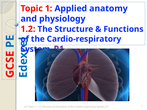 GCSE PE (Spec 2016 Edexcel) Topic 1: 1.2: Structure & Functions of the Cardio-respiratory System_P1