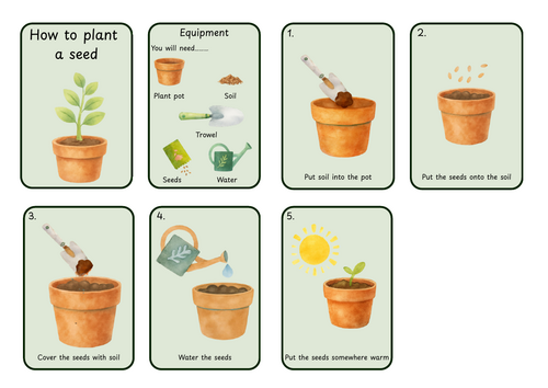 How to plant a seed visuals