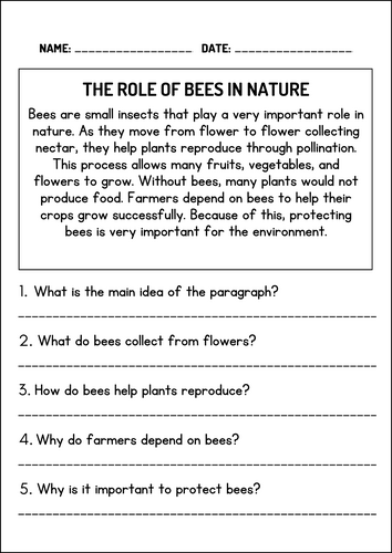 Main Idea and Details Worksheets for Activities 1nd 2rd 3th Grade