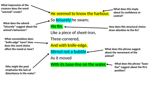 Annotated The Shark by E.J. Pratt