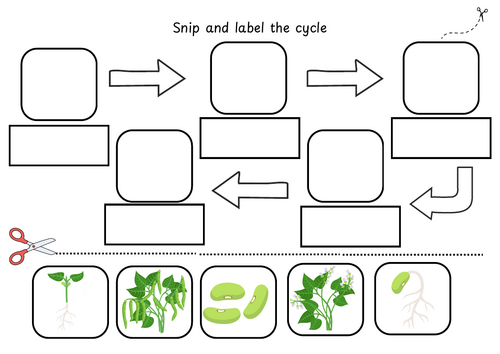 snip and label bean lifecycle