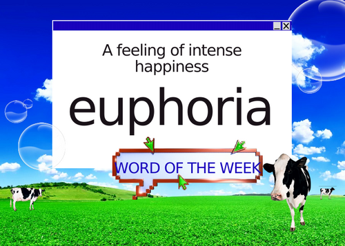 Word of The Week: EUPHORIA