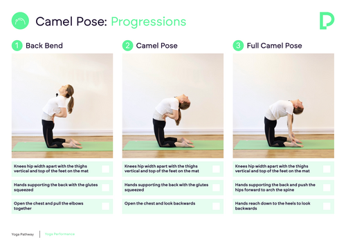 Camel Pose Progressions Resource