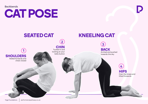 Cat Pose Poster