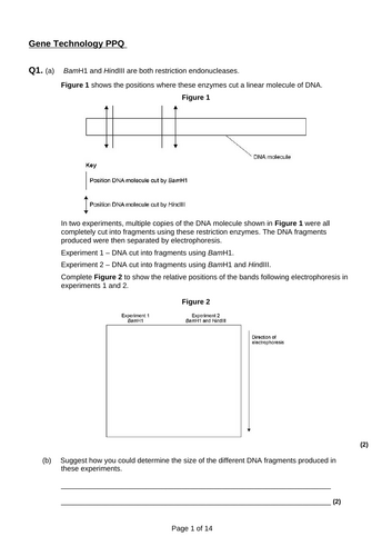 Gene Technology PPQ pack 8 Q&A