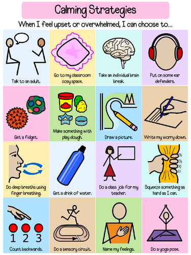 Regulation Strategies Poster