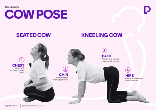 Cow Pose Poster