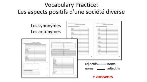 Les aspects positifs d'une société diverse- Vocabulary Practice- A Level French