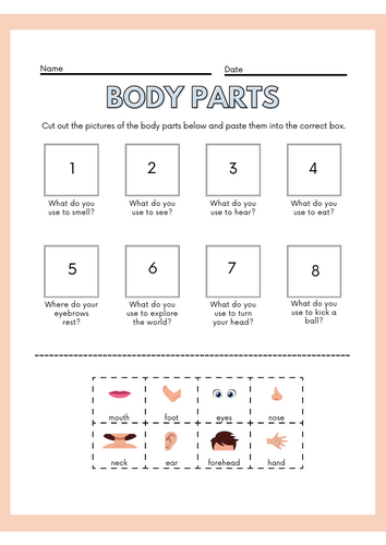 Body Parts: Interactive Cut and Paste