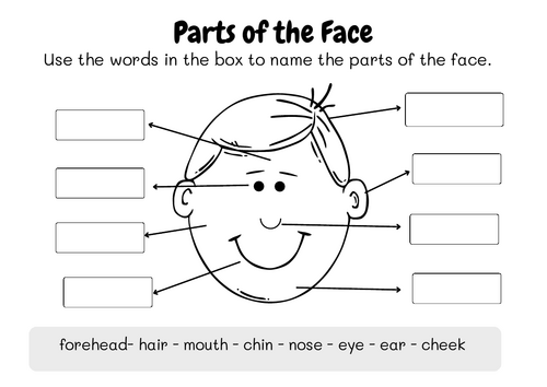 Parts of the Face: Vocabulary Labeling
