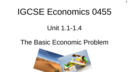 IGCSE Economics Unit 1.1: The Basic Economic Problem PPT