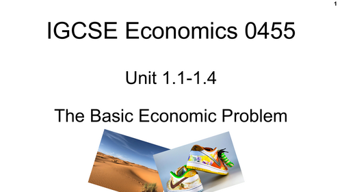 IGCSE Economics Unit 1.1: The Basic Economic Problem PDF