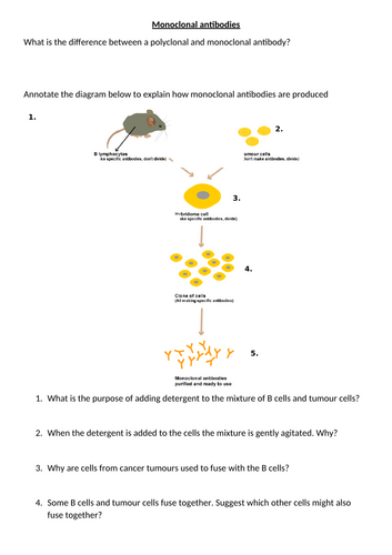 AQA GCSE Biology - B5+6 - Monoclonal Antibodies | Teaching Resources