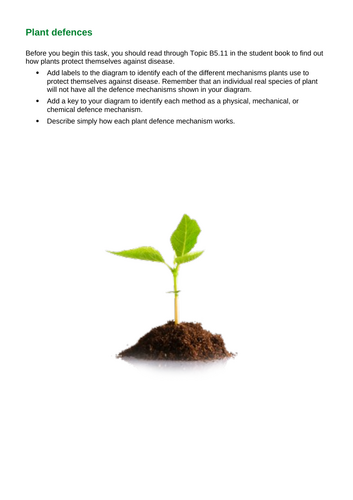 AQA GCSE Biology - B5+6 - Plant Defences