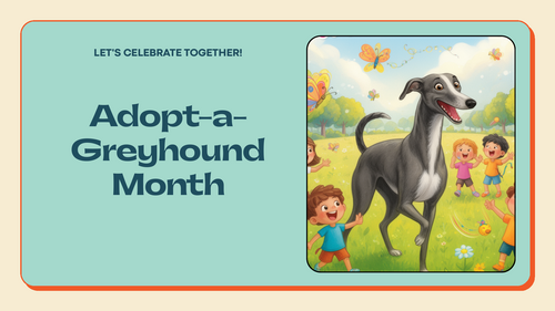 Adopt-a-Greyhound Month Assembly | KS1 and KS2 | Animals, Compassion and Responsibility
