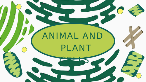 Parts of Animal and Plants Cells