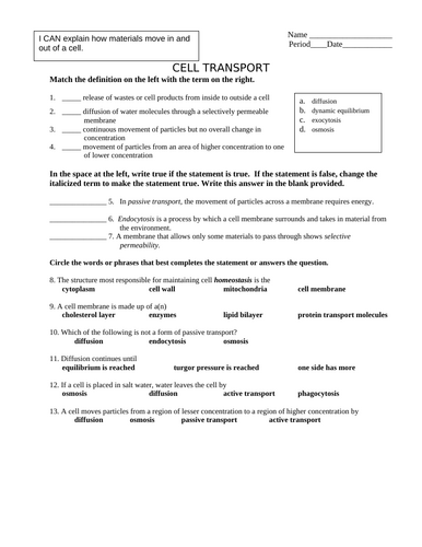 Cell transport IGCSE BIOLOGY