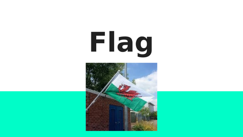 Flag  - Owen Sheers