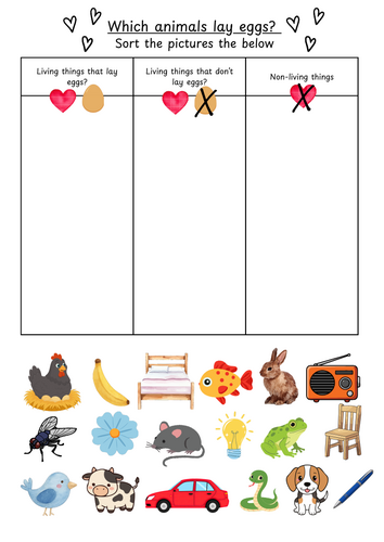 Which animals lay eggs? Sorting activity
