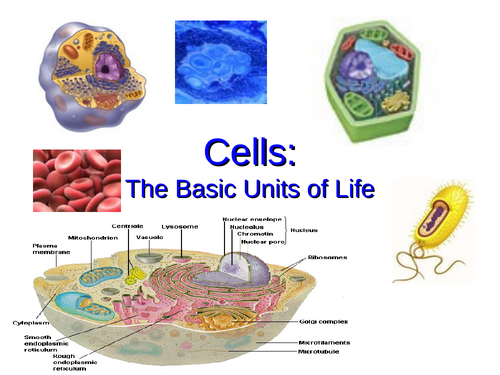 Cell - Smallest unit of life IGCSE