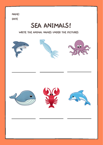 Write the name for the sea animals - Ocean animals theme