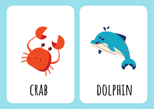 Sea animals Flashcards
