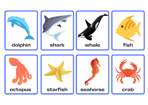 Sea/ Ocean animals Flashcards