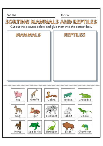 Sorting mammals and reptiles activity