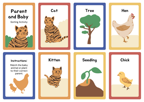 Matching Parent and Baby Activity