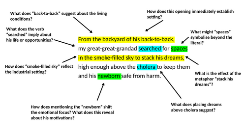 Annotated A Wider View by Seni Seneviratne