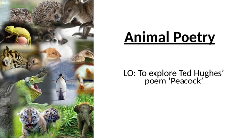 KS3 Poetry - Peacock by Ted Hughes