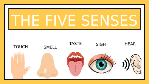 Our 5 senses PPT