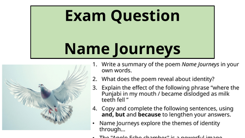 Worlds and Lives - Comparison of Name Journeys and Homing