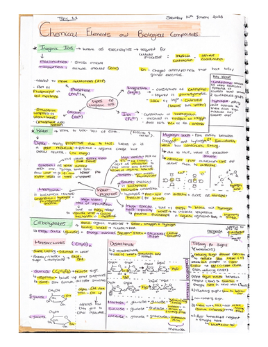AS LEVEL ONLY - Biology Revision Pack