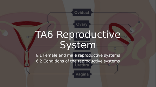 AAQ Cambridge Nationals in Health and Social Care F091 - TA6  Reproductive System Powerpoint