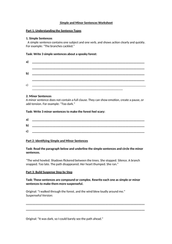 Simple and Minor Sentences Worksheet