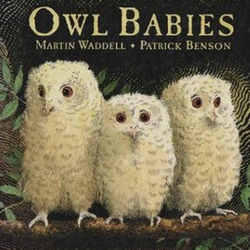 Owl Babies EYFS School Concert Script
