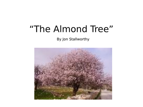 The Almond Tree - line by line poetry analysis | Teaching Resources