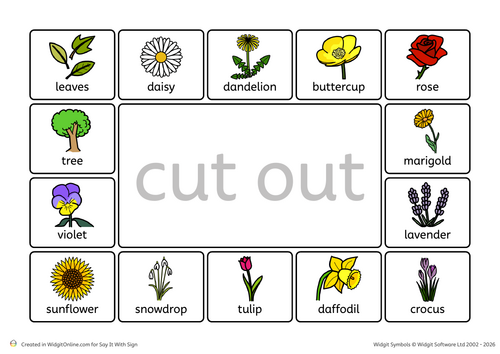 Flowers Visual Communication Board
