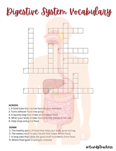 Digestive System Vocabulary Crossword