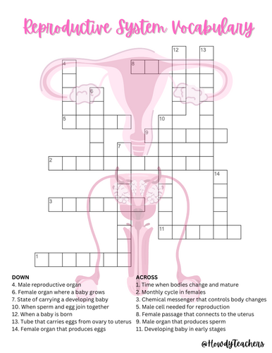 Reproductive System Vocabulary Crossword