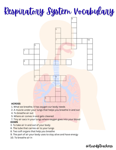Respiratory System Vocabulary Crossword