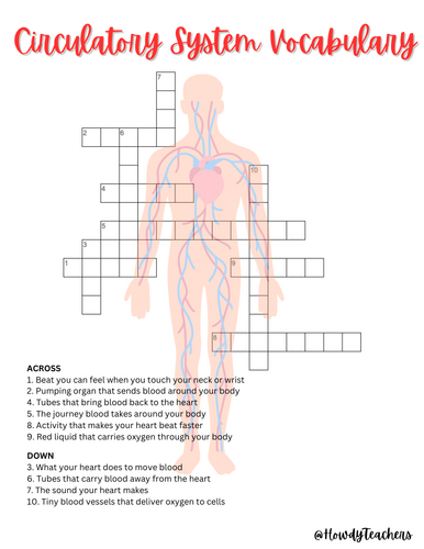 Circulatory System Vocabulary Crossword