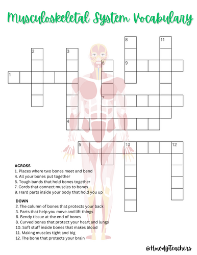 Musculoskeletal System Vocabulary Crossword