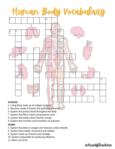 Human Body Vocabulary Crossword