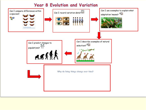 KS 2 Science Differences within a species