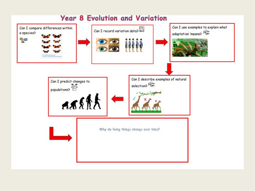 KS 2 Science Investigating Variation