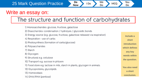 Past Bank of 25 Mark Essay Titles and Plans